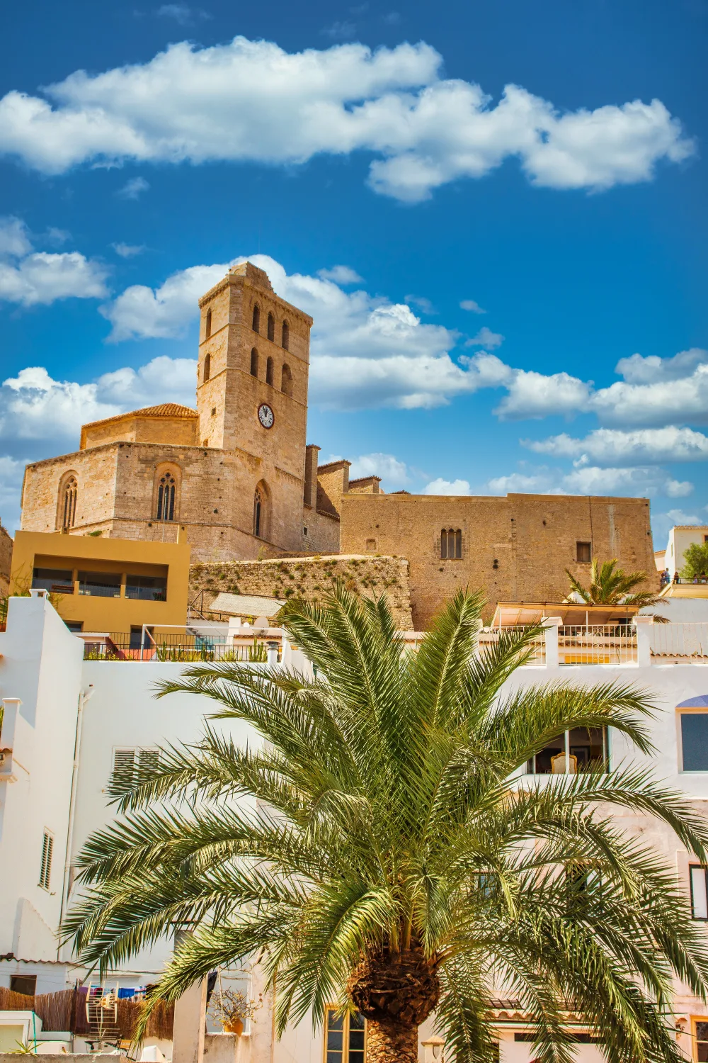 La cathédrale de Dalt Vila dominant les toits blancs d’Ibiza