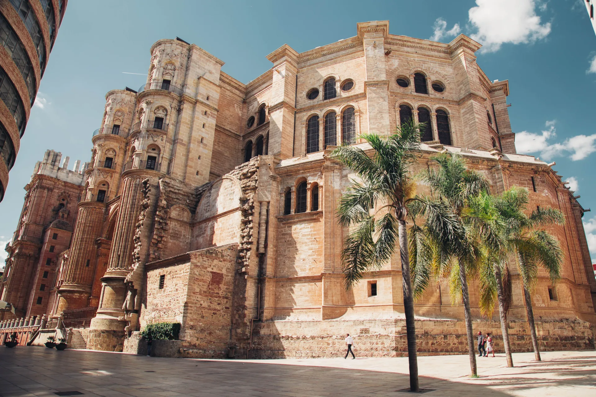 La cathédrale de Malaga et ses palmiers sous le soleil