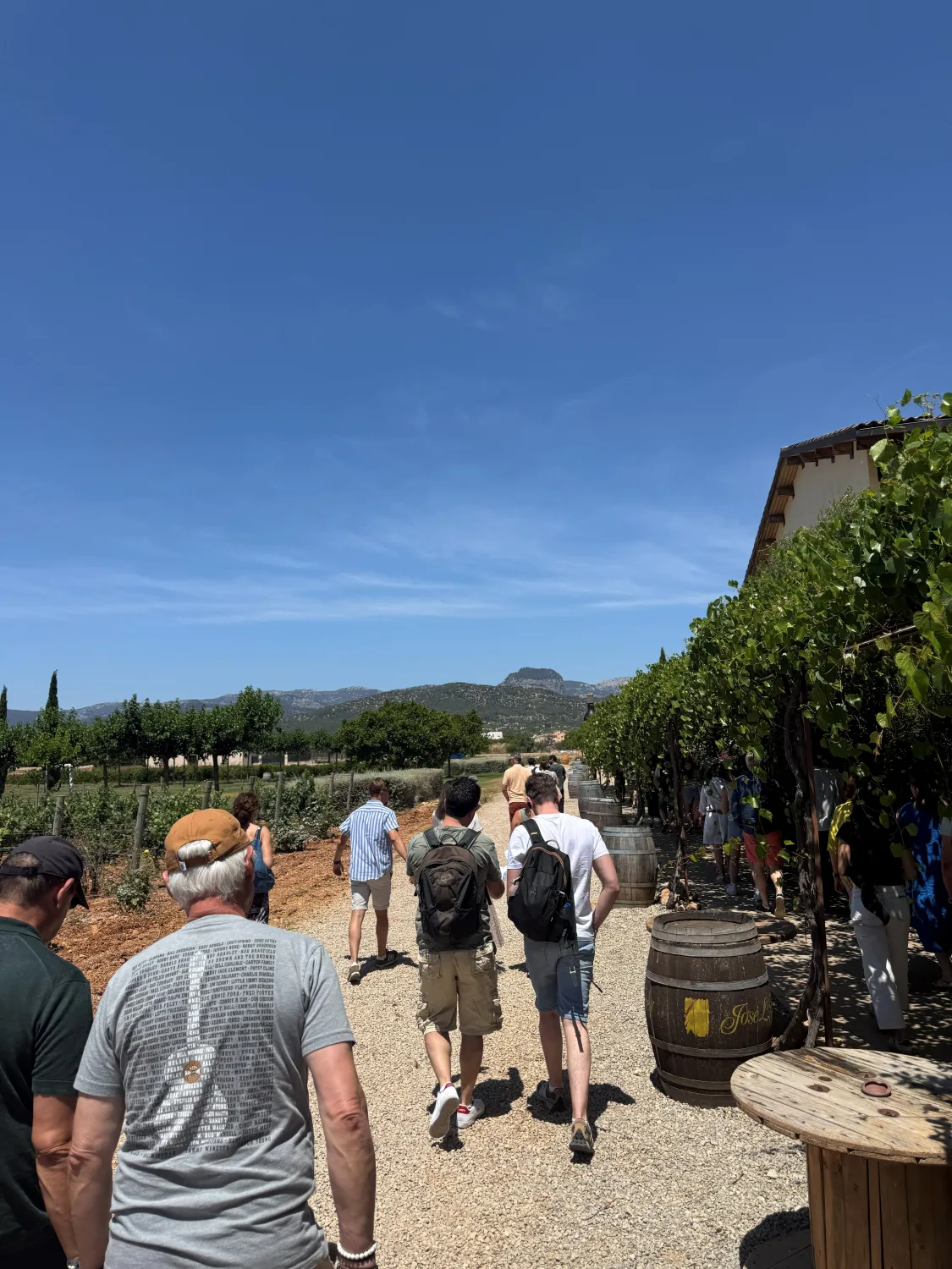 Groupe en visite dans un domaine viticole de Majorque