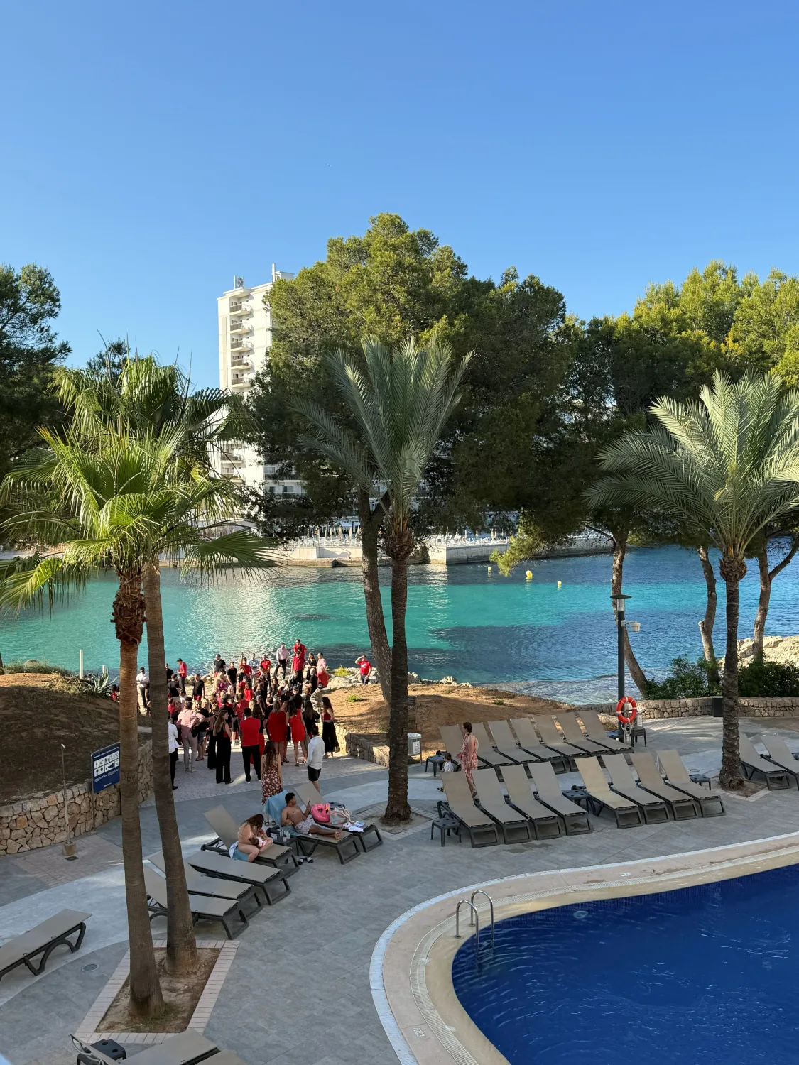 Piscine bordée de palmiers dans un hôtel de Majorque, groupe rassemblé au fond