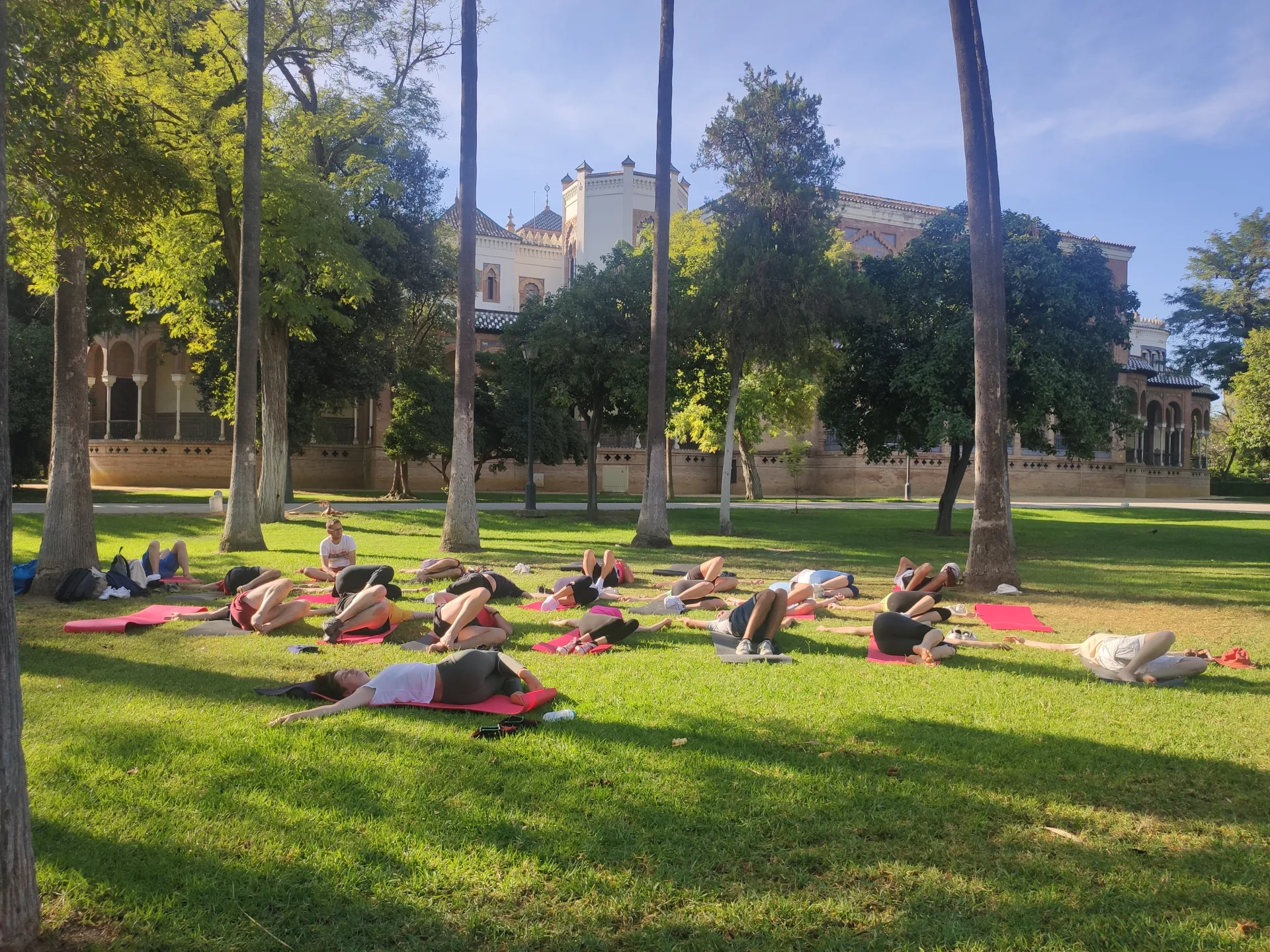 Séance de yoga collective sur la pelouse d’un parc, sous les palmiers