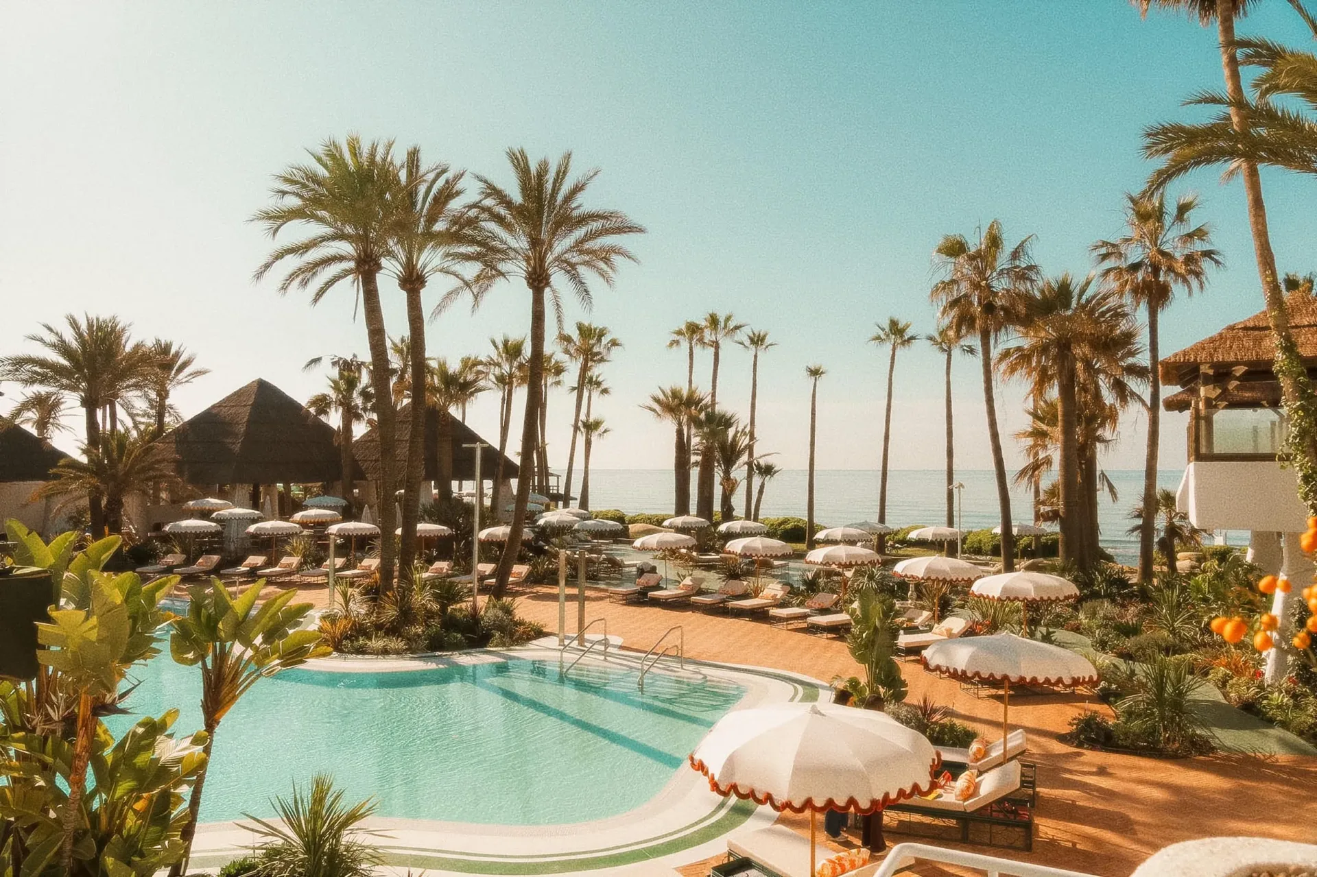 Piscine et palmiers d'un resort de la Costa del Sol