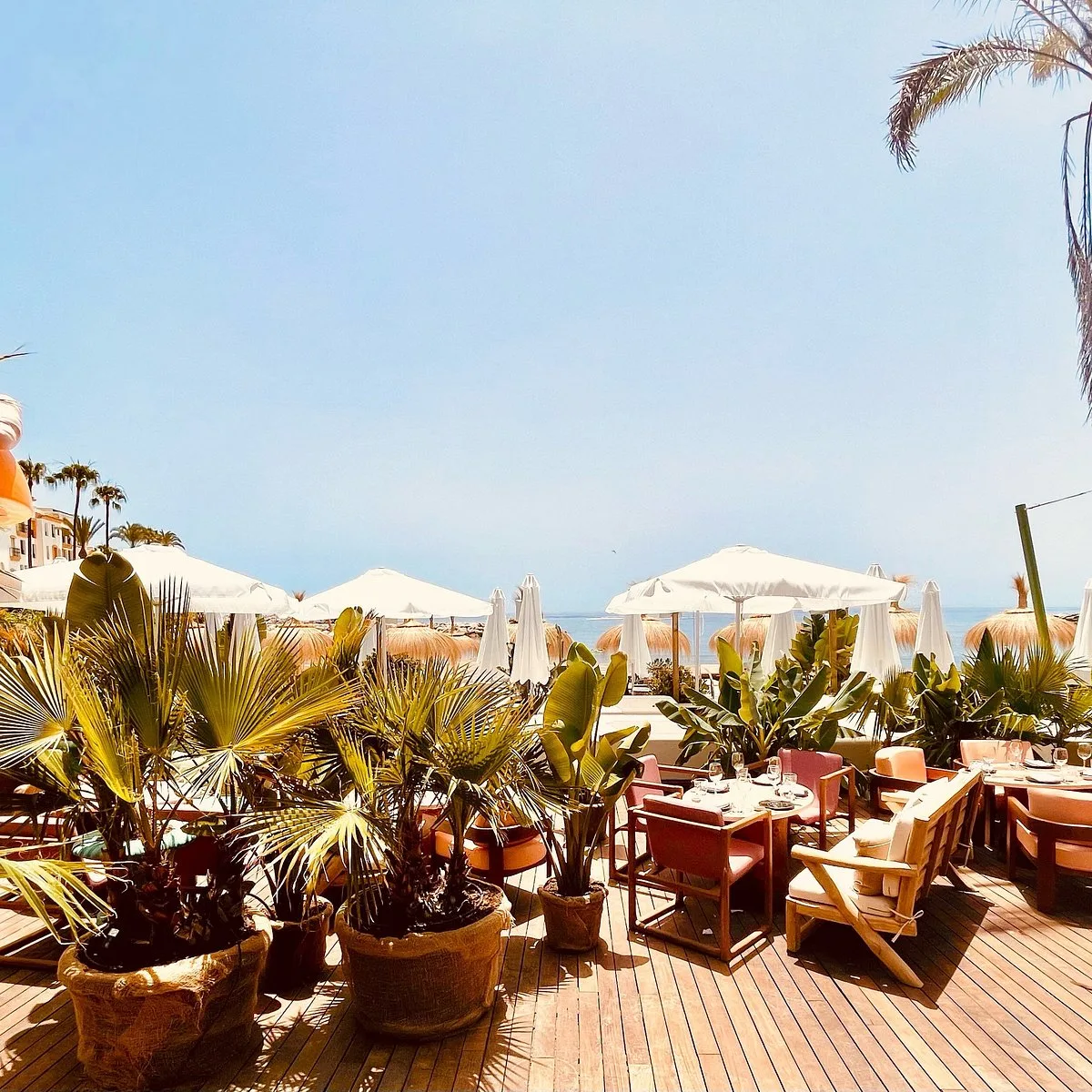 Terrasse de restaurant en bois entourée de plantes tropicales