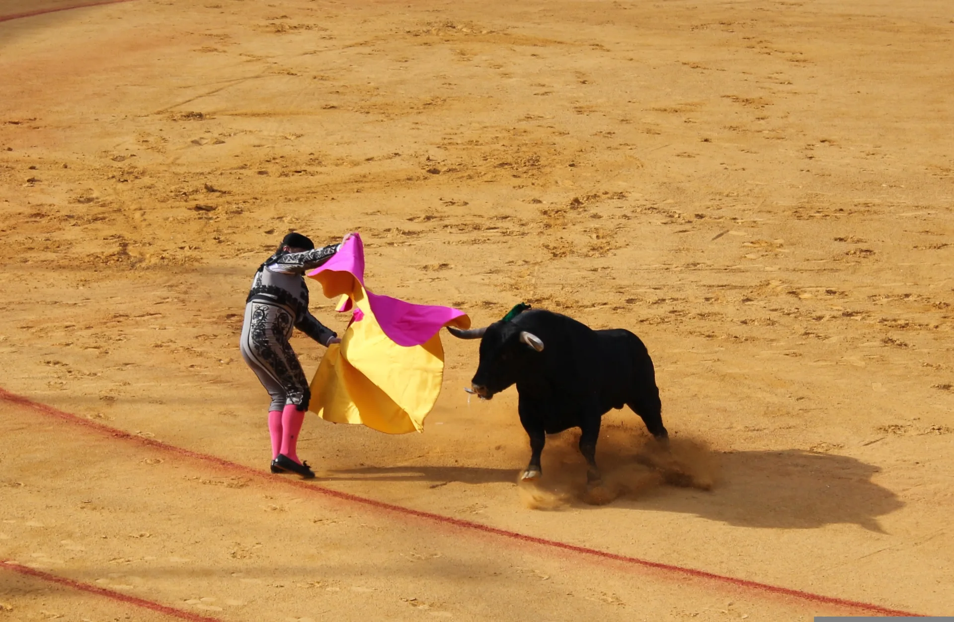 Attelages et robes de flamenco pendant la Feria de Séville