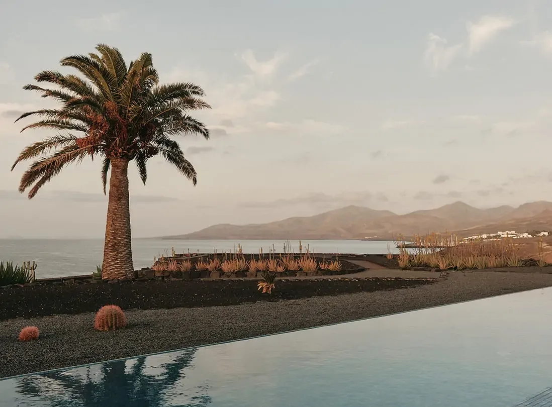Palmier isolé au bord d'une piscine à débordement face à l'océan, à Lanzarote