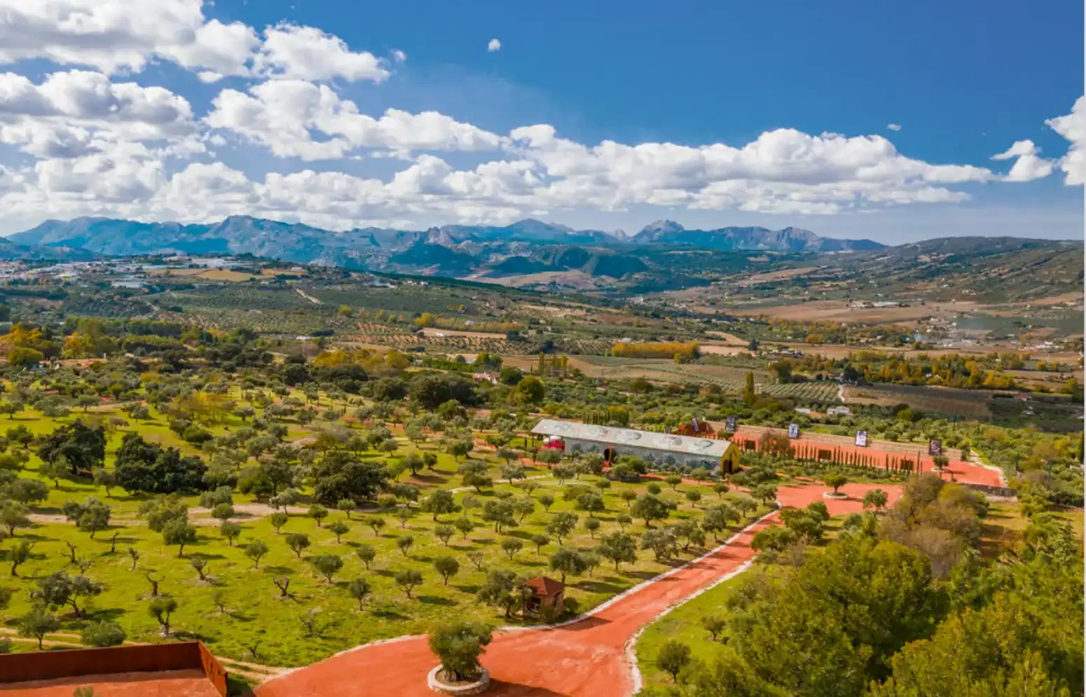 Vue aérienne d'un domaine andalou entouré d'oliveraies