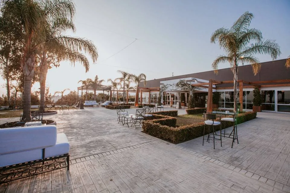 Terrasse ombragée bordée de palmiers, tables dressées pour un déjeuner