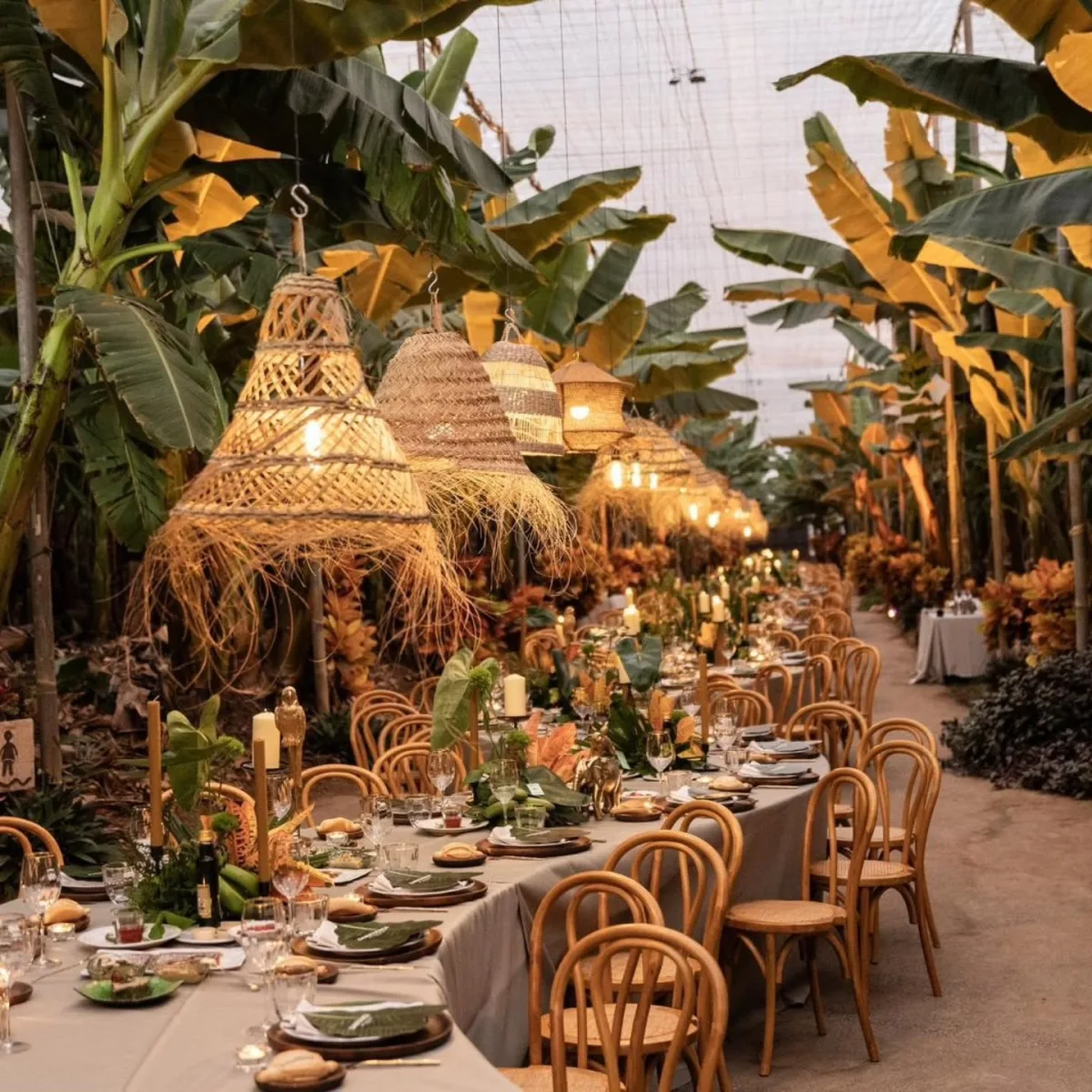Jardin tropical illuminé de guirlandes, tables dressées pour une soirée